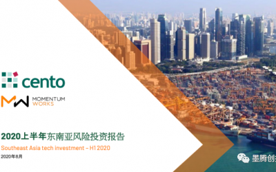 疫情下,中国资本在东南亚到底投了多少项目?