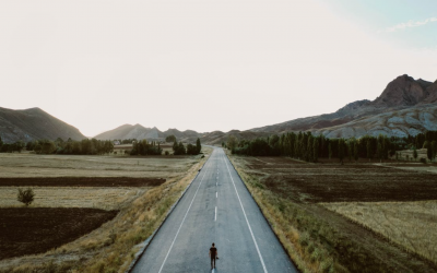 荣耀首战,实力几何?