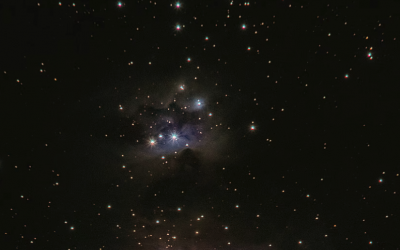 建立全球碳市场,马斯克的星链有用吗?