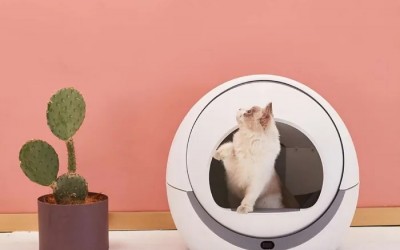 告别钉钉八个月后,无招“出招”:左手宠物,右手耳机