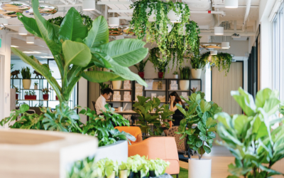 共享办公,卷在坡县