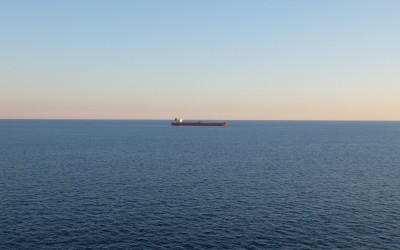 Temu的分水岭时刻:有人刹车,有人加注