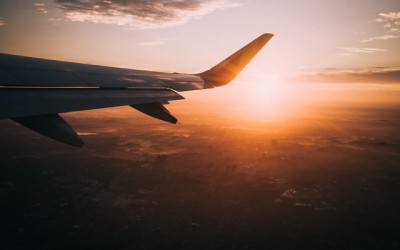 放开之后,中国出海人要大干一场