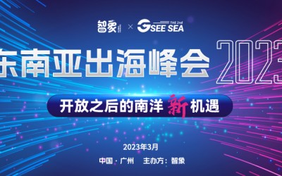 对外经济贸易大学教授王健已确认出席SEE SEA东南亚出海峰会