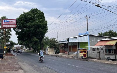 游历10国,我的2023年度总结