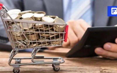 对话嘉御资本卫哲:死一半、活一半,成功1%,跨境将跑出100家100亿企业