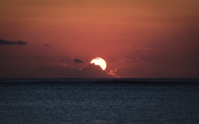 Wish落幕,不声不响